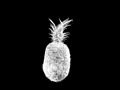 Miniature ananas