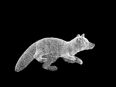 Miniature raton laveur